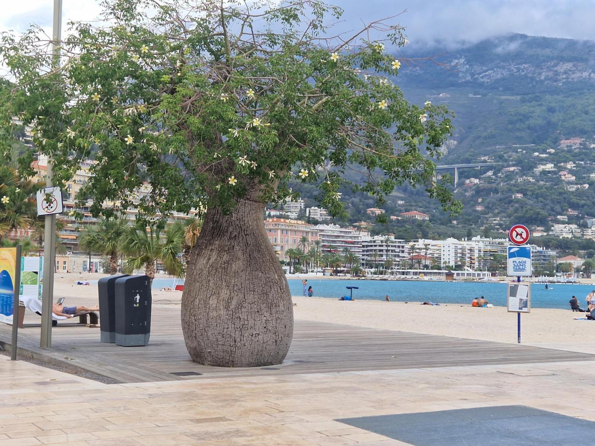 Le 182 Promenade Du Soleil Apartment Menton Exterior foto
